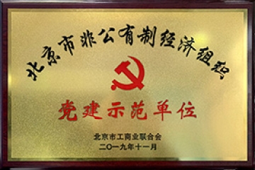 中共党建示范单位